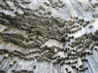 «Քարերի սիմֆոնիայի» և «Հայաստանի ԴՕՍԱԱՖ»–ի գույքի մի մասը վերադարձվեց պետությանը