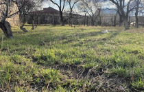 Ավելի քան 45 հազար փոքր հողամասի սեփականատեր տուն կառուցելու հնարավորություն կունենա. նոր փոփոխություններ