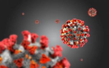 Հայաստանում ԱԱՊ օղակը սկսել է էական դերակատարում ունենալ Covid-19-ի արձագանքման հարցում