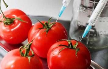 ԵԱՏՄ տարածքում կգործեն ԳՄՕ մթերքների մակնշման նոր պահանջներ