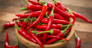 Հայտնի է կծու պղպեղի օգտակարությունը կյանքի տևողության համար