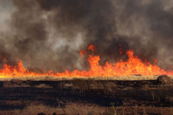 Թուրքական օդուժը մեկ ամիս շարունակ ռմբակոծել է Սիրիայի Աֆրինի և Շահբայի շրջանները