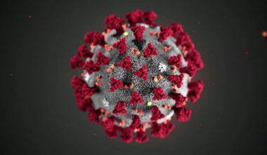 Մասնագետը բացատրել է Գերմանիայում COVID-19- ից ցածր մահացության պատճառը