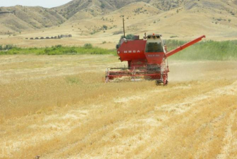 Հացահատիկի բերքահավաքը մոտենում է ավարտին. «Հայաստանի Հանրապետություն»