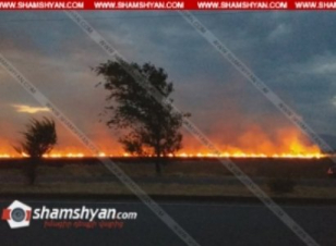 Խոշոր հրդեհ Արմավիրի մարզում․ կրակի տարածման կանխման գործում հրշեջներին օգնում են քաղաքացիները