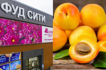 ՌԴ-ի հայերի միասնությունը․ Ծիրանը որպես խորհրդանիշ