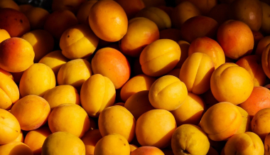 Մոսկվայում «ծիրանային պատերազմի» մասին. The Guardian-ի անդրադարձը