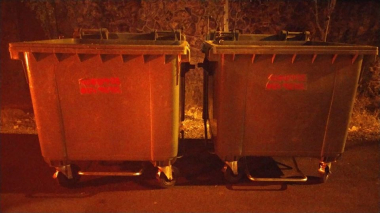 Մաքրության աշխատանքների շարքից լուսանկարներ