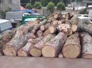 Իջևանի ոստիկանները բնապահպանական օրինախախտումներ են հայտնաբերել