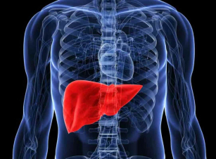 Լյարդի բարորակ եւ չարորակ նորագոյացություններ