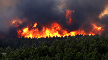 Կալիֆոռնիայի իշխանությունները հայտնել են անտառային հրդեհների տարածքի մեծացման մասին