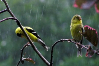 Ի՞նչ եղանակ է սպասվում առաջիկա օրերին