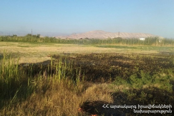 Հրշեջ-փրկարարները մարել են ընդհանուր 8 հա տարածքում բռնկված հրդեհները