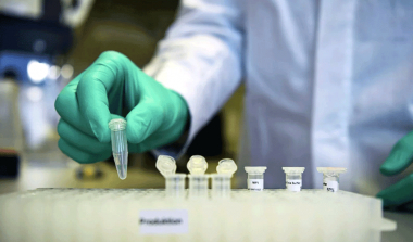 Թեստավորվել են մոտ 6 000 ուսուցիչ