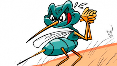 Թուրքիայում  վտանգավոր մոծակների տեսակ է հայտնվել