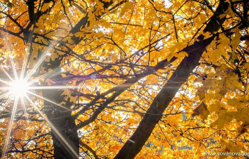 Տղերքը չեն մրսի և չեն թրջվի․ ինչպիսի եղանակ է սպասվում 