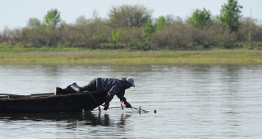 Դեկտեմբերի 1-ից Սևանա լճից կարգելվի արդյունագործական ձկնորսությունը