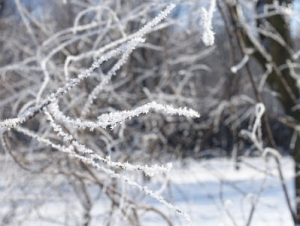 Այսօր լուսադեմին Աշոցքում ունեցել ենք մինչև -35 աստիճան սառնամանիք. Գագիկ Սուրենյան