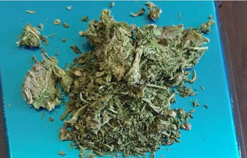 Ջերմուկի ոստիկաններն ապօրինի թմրաշրջանառության դեպք են բացահայտել