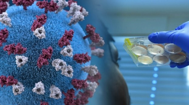 Ռուսաստանում կատարել են կորոնավիրուսի ավելի քան 108 մլն թեստ