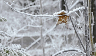 Սպանդարյան-Սիսիան, Սևանի կղզուց Դիլիջանի թունել ճանապարհահատվածներում բուք է