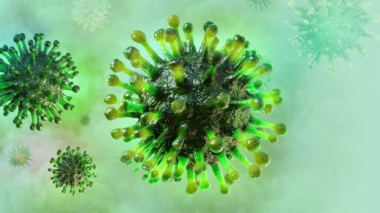 COVID-19-ից ապաքինվածների մոտ կրկնակի վարակվելու ռիսկը 10 անգամ քիչ է. հետազոտություն