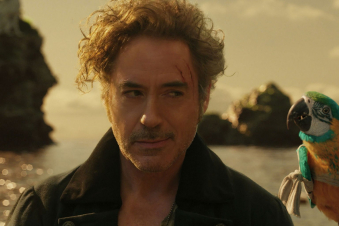 Ռոբերտ Դաունի-կրտսերն առաջադրվել է «տարվա վատագույն դերասան» անվանակարգում