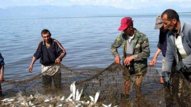 Կմեկնարկի Սևանա լճում արդյունագործական ձկնորսության որսաշրջանի 2-րդ փուլը