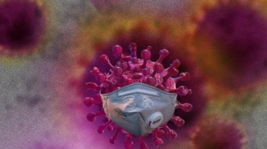 Կորոնովիրուսի հնարավոր տարածումը կանխելու նպատակով 14 օրով կկասեցվեն ՃՈ Գորիսի հաշվառման-քննական խմբի աշխատանքները