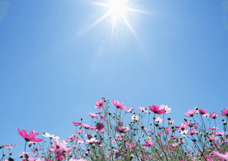 Ապրիլի 4-7-ն օդի ջերմաստիճանը կբարձրանա 8-10 աստիճանով