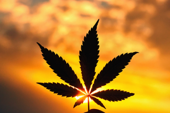 Նյու Յորքում թույլատրել են հասարակական վայրերում մարիխուանա ծխել