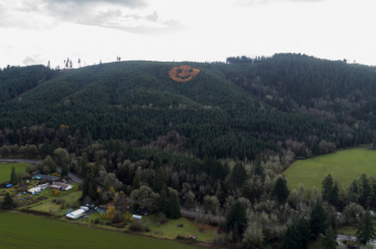 Օրեգոնում անտառապատ բլրի վրա ծառերի միջոցով «սմայլիկի» մեծ պատկեր է ստեղծվել (լուսանկարներ)