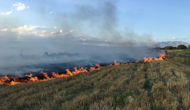 Հրշեջ-փրկարարները մարել են ընդհանուր 2.7 հա տարածքում բռնկված հրդեհները
