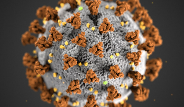 Ովքեր են առաջնահերթ պատվաստվելու COVID-19-ի դեմ. ԱՆ