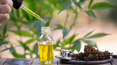 ՀՀ-ում արտադրական կանեփի արտադրության, վաճառքի համար անհրաժեշտ կլինի հատուկ լիցենզիա