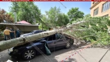 ԵՊՀ-ի բակում հսկայական բարդին արմատից պոկվել ու տապալվել է, վնասվել են BMW X3-ը, Nissan Xtrail-ը եւ Opel-ը