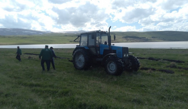 «Արփի լիճ» ազգային պարկի տարածքում նախատեսվում է 2000 ծառ տնկել