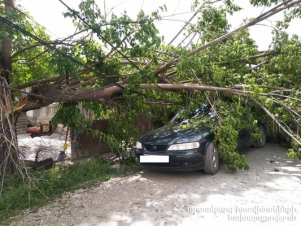 Ծառի ճյուղերը քամուց ընկել են կայանված ավտոմեքենայի վրա, վնասել էլեկտրալարերը և գազատար խողովակը