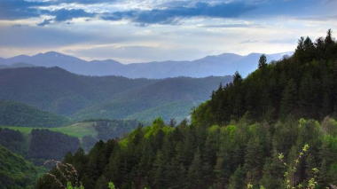 «10 միլիոն ծառ» նախաձեռնության շրջանակում ՀՀ տարածքում տնկվել է ավելի քան 150 հազար տնկի