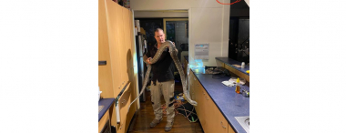 Ավստրալիայում տան տանիքում 3 մետրանոց և գրեթե 100 ատամներ ունեցող հսկայական օձ են գտել (լուսանկարներ)