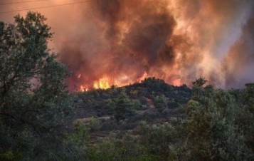 Հրդեհ Տալվորիկ գյուղում