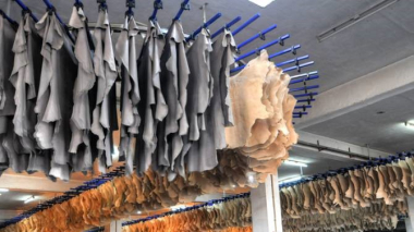 Վեց ամսով արգելվեց Հայաստանից անասունների, ոչխարների ու ձիերի անմշակ կաշվի արտահանումը