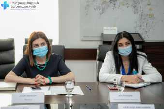 Անահիտ Ավանեսյանը հանդիպել է ԱՀԿ ներկայացուցիչների հետ