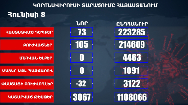 Հայաստանում հաստատվել է կորոնավիրուսային հիվանդության 73