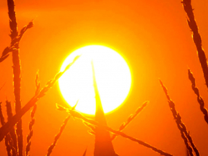 Ուլտրամանուշակագույն ճառագայթման ինդեքսը բարձր է․ բաց մաշկ ունեցողներին խորհուրդ է տրվում արևի տակ մնալ 18-22 րոպե