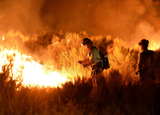 Հրդեհ՝ Երևանի հեռուստաաշտարակի մոտակայքում. հայտարարվել է հրդեհի բարդության «1-Բիս» կանչ