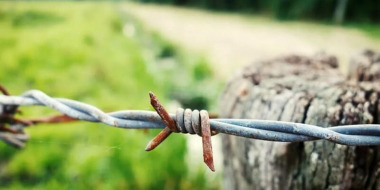 Լիտվան Բելառուսի հետ ընդհանուր սահմանը կզատի ոչ միայն փշալարերով, այլև պատով