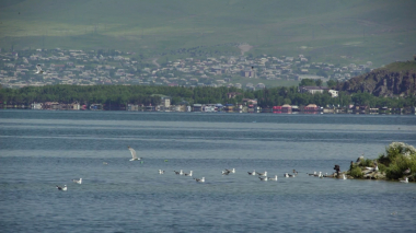 Սևանա լճի ծաղկումը մասնագետների ուշադրության կենտրոնում