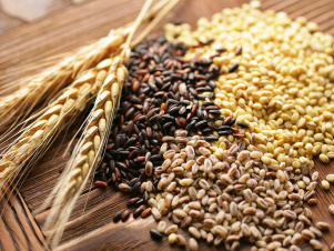 Ինչպե՞ս է սնունդը մեզ սպանում. Ի՞նչ պետք է իմանալ սննդային ալերգիաների և անտանելիության մասին