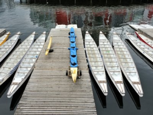 Տոկիոյում ոստրեները փորձել են ներխուժել օլիմպիական տարածք